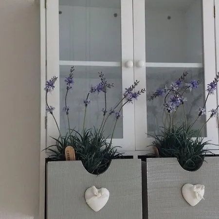 Watt's Happiness Close To The Apartment