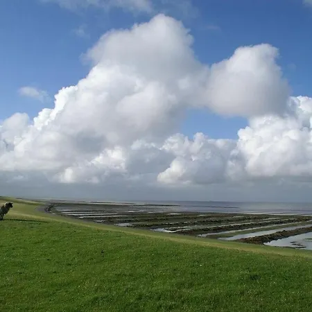 Apartment Watt's Happiness Close To The